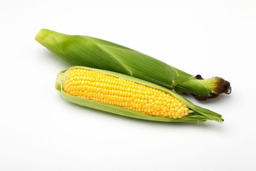 サニーショコラとは？】特徴や旬、ゴールドラッシュとの違いについても