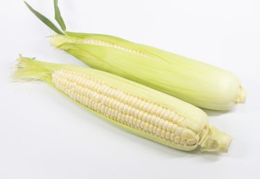 【白いとうもろこし】ホワイトコーンとは？雪の妖精など…おすすめの種類まとめ