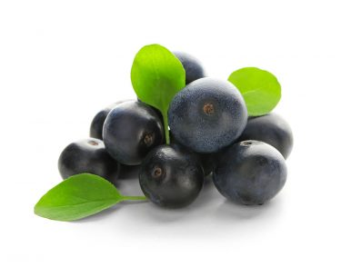 アサイーの旬はいつ？味や栄養、食べ方まで徹底解説！