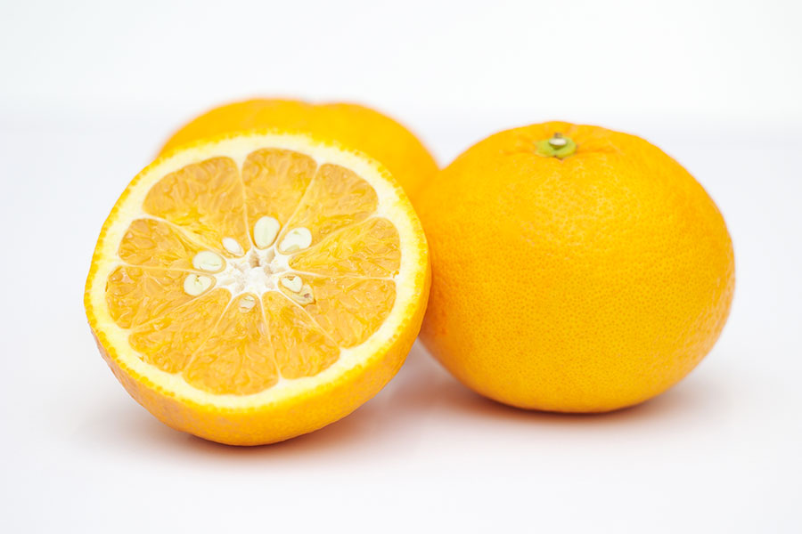 【甘夏みかん】簡単な食べ方＆レシピから旬の時期、産地まで徹底解説！│ご当地風土