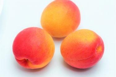 あんず アプリコットの食べ方やジャム、お酒などのレシピについて解説