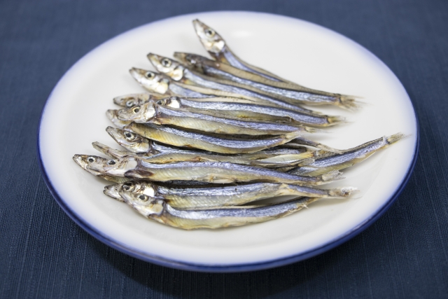 今が旬の魚は？】春夏秋冬の季節の魚一覧40選