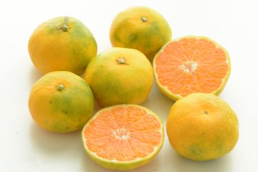【徹底解説】みかんの栄養おいしいみかんの選び方や保存方法についても解説