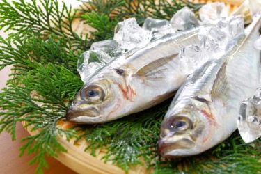 美味しいアジ(鯵)の選び方、旬の時期、種類について解説！